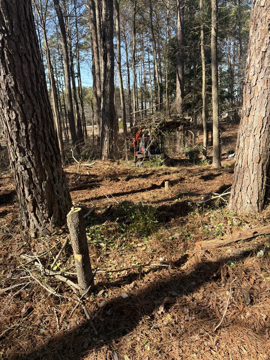 Land clearing and grading project