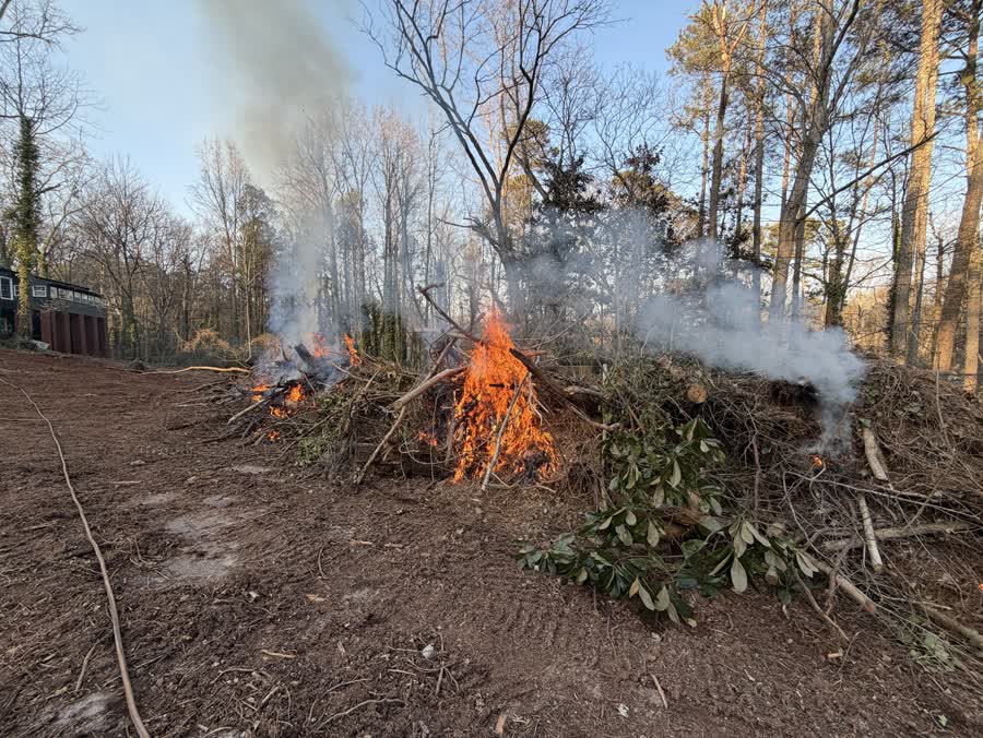 Summit Building landclearing